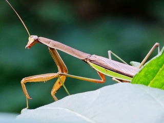 DSCN8422_