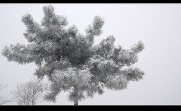 P1020776