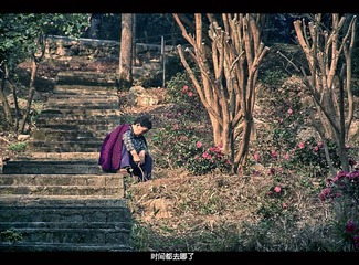 DSC_3450-编辑