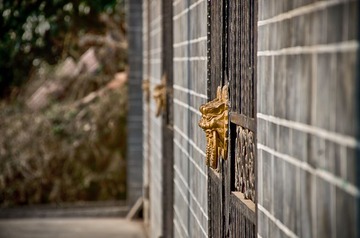 DSC_3448-编辑