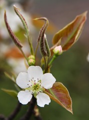 IMG_3464a