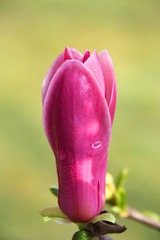 IMG_3411a