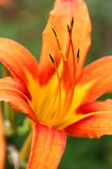 IMG_0470a