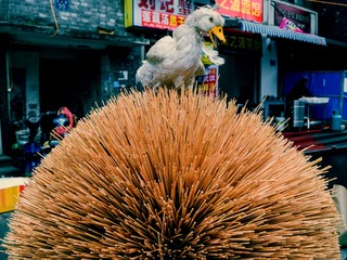 纸坊街拍-20170206 0049