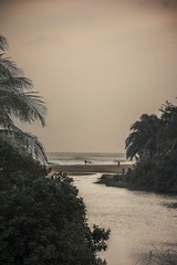 _DSC0454