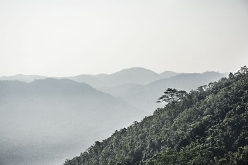 _DSC0467
