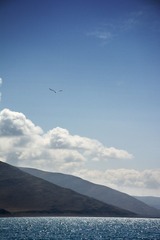 _DSC0764