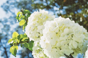 69E6E67E-A07F-4128-8C74-0551DF28DD2A/L0/001