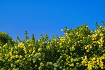 F6C14284-B0A7-4875-97D2-6661A30CBF0D/L0/001