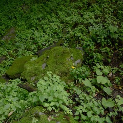 DSC_1637_