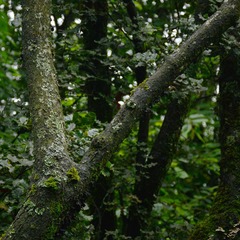 DSC_1654_