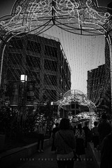 581FD094-336D-4742-839F-09D801F9CE8B/L0/001