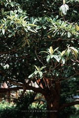 40CB2832-D83D-4C07-A8E1-68BEDDF0CF09/L0/001