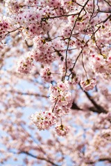 F642F710-0B76-4031-A41C-0512891A9CAA/L0/001