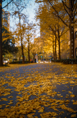 Optional("3BD72C71-BC93-4597-8BAA-6C2DDA1F5D54/L0/001")