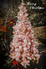 Optional("ED0076A8-4E4B-41D3-99B5-EEDDE45E494B/L0/001")