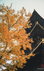 Optional("1367CB5A-BFF3-4E76-BA7F-F10225B26251/L0/001")