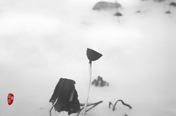 IMGP1817 2