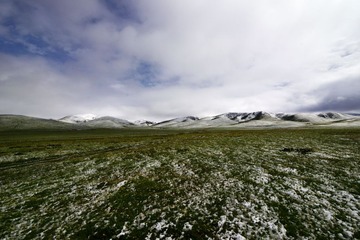 LIU_7838--