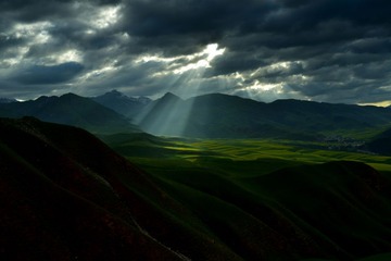LIU_8303----