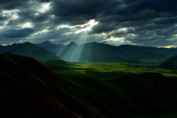 LIU_8304---