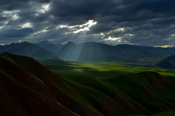 LIU_8307--