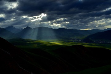 LIU_8311--