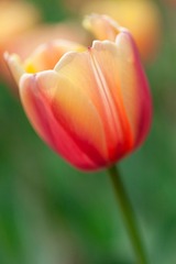 _MG_5741_1