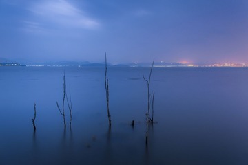 IMG_8715-1
