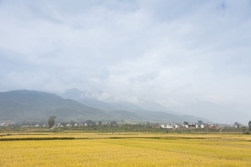 IMG_8888-1