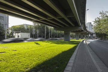 IMG_9538-1
