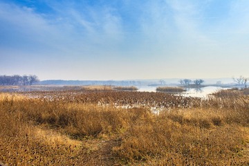IMG_9890-1