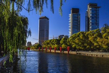 _MG_0009-2