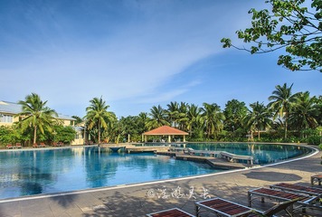 IMG_7784_1