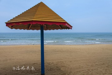 IMG_7866_1