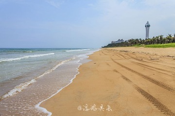 IMG_7874_1