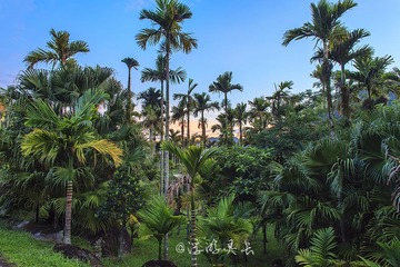 IMG_7931_1