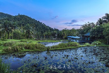 IMG_7937_1