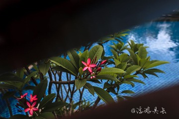 IMG_8076_1