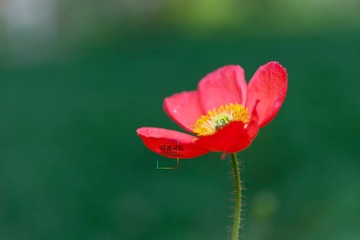 _MG_5790_1