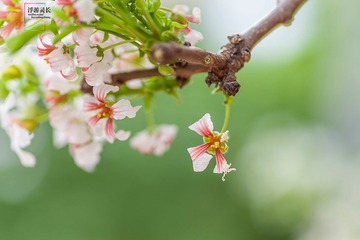 _MG_5758_1