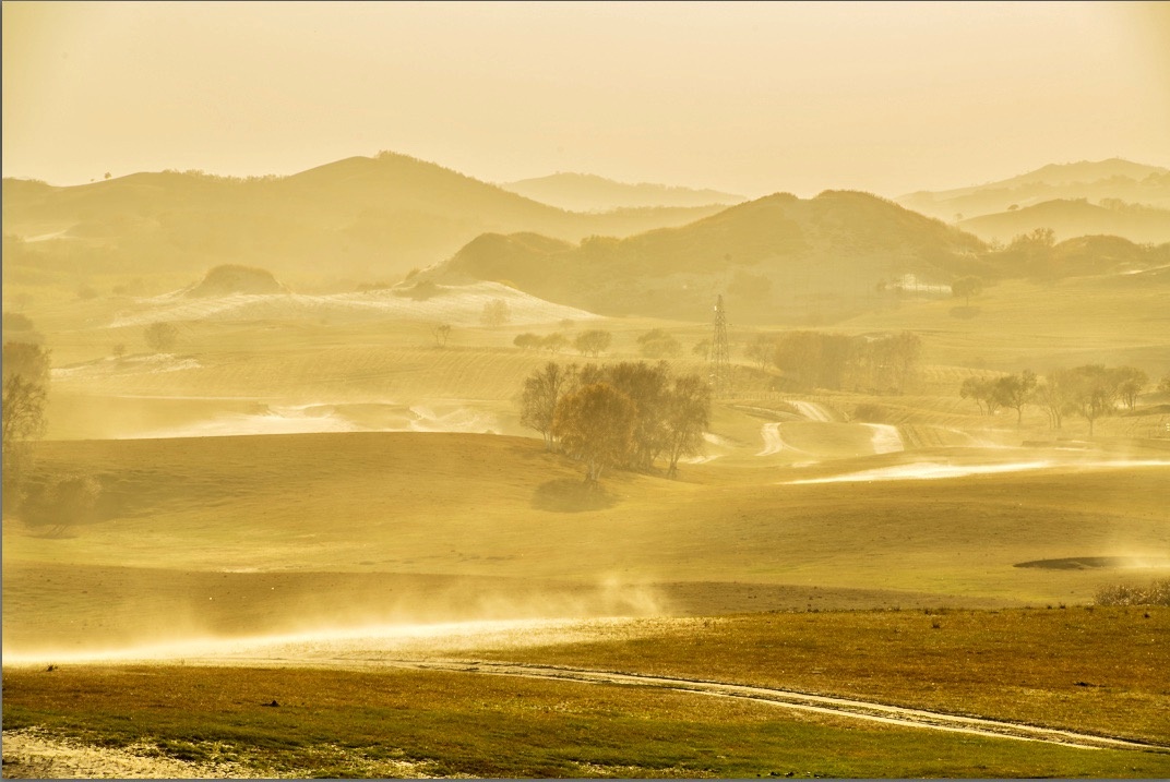 草原上的飞沙走石来自大自然的愤怒