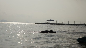 DSC04134.JPG