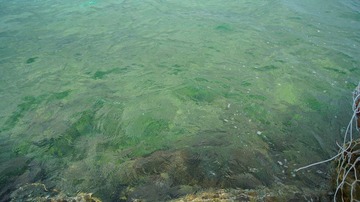 DSC04171.JPG