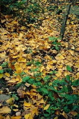R0005462_