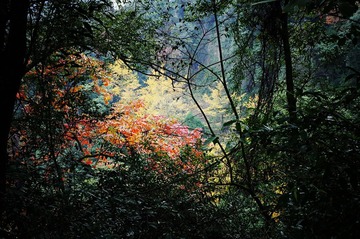 R0005468_