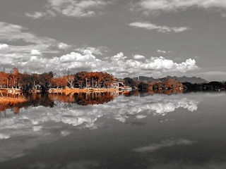 EF5D9B53-38DD-45C4-A8B5-986591F43981/L0/001