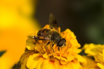 20131112-DSC01833