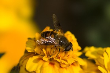 20131112-DSC01834