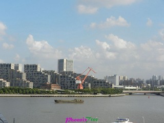 DSCN2248_